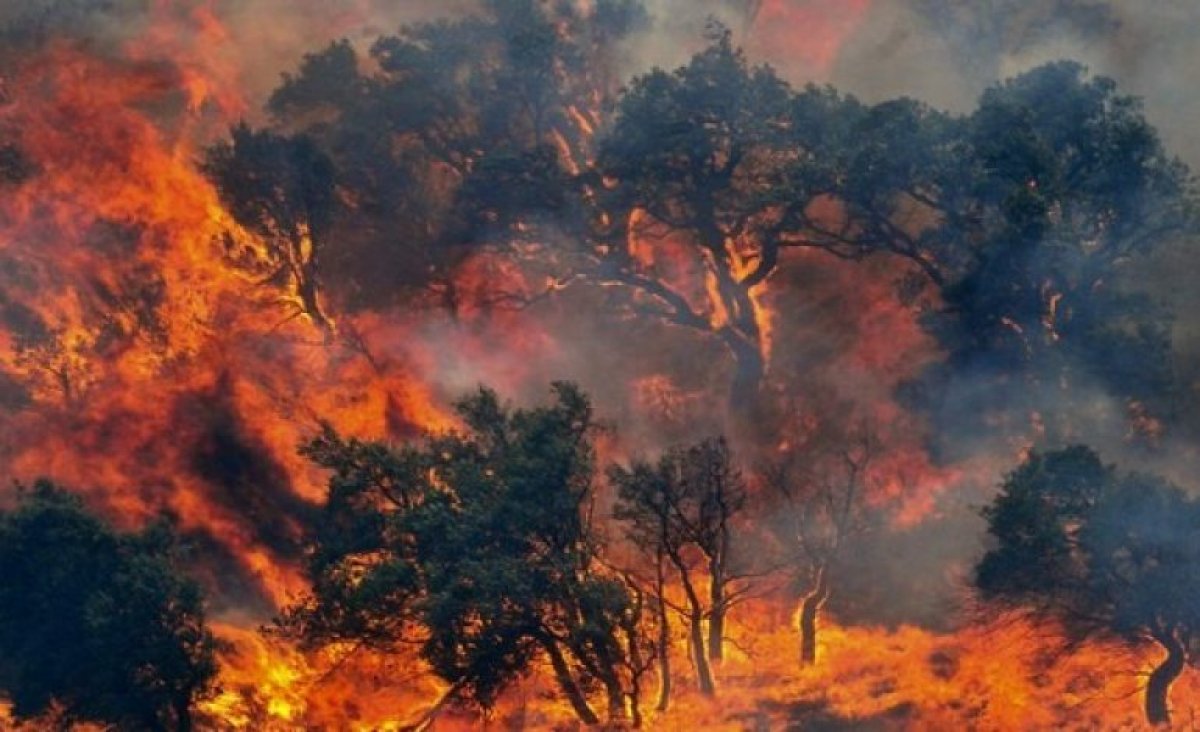 Premsa d'arreu de Catalunya recull la sentència dels Incendis del 1994 al Berguedà